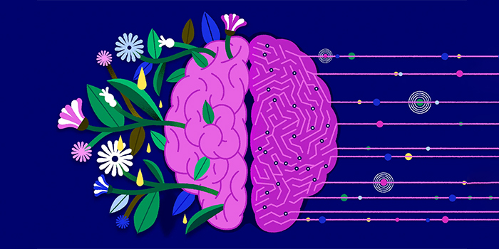 چطور هنر مغز کودک را تقویت می کند؟