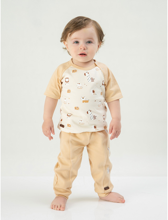 تمام چاپ زرافه