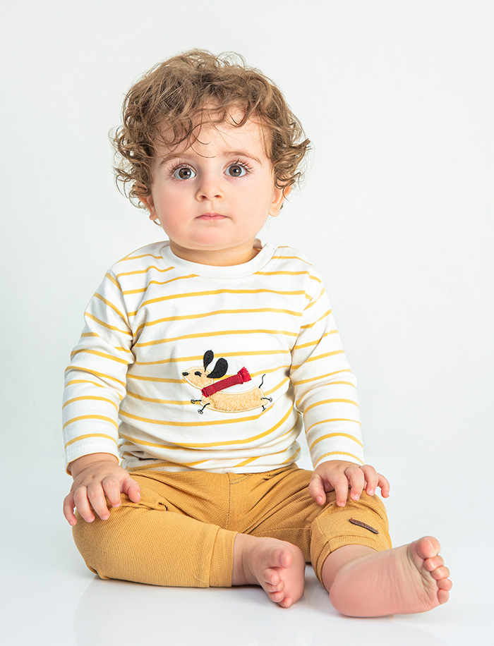 سگ پا کوتاه