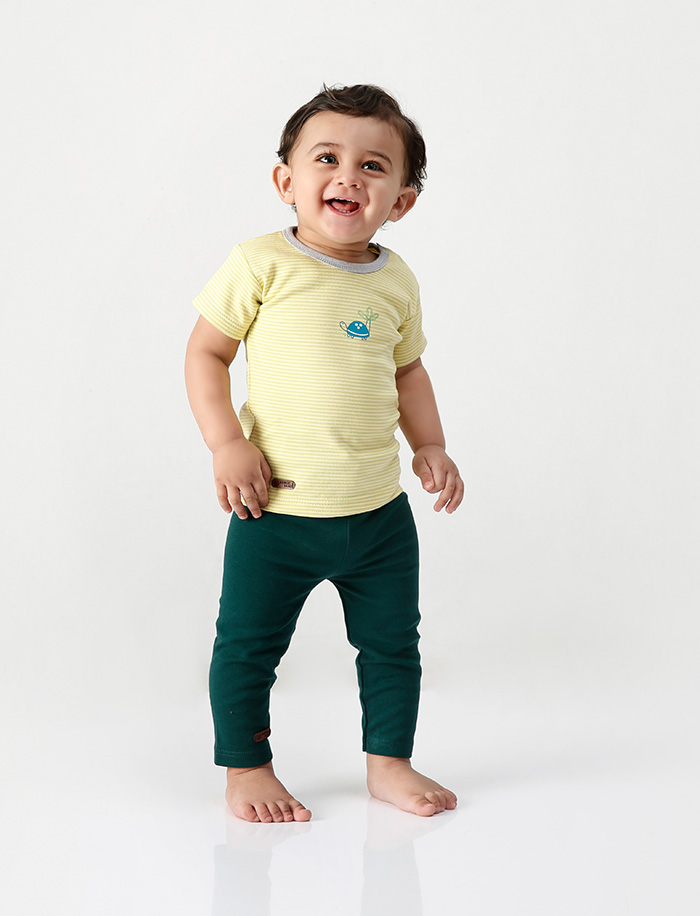 راه راه زرد