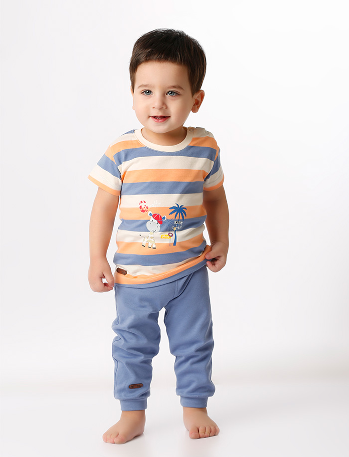 راه راه زرافه