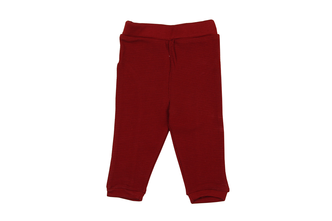 سگ پا کوتاه